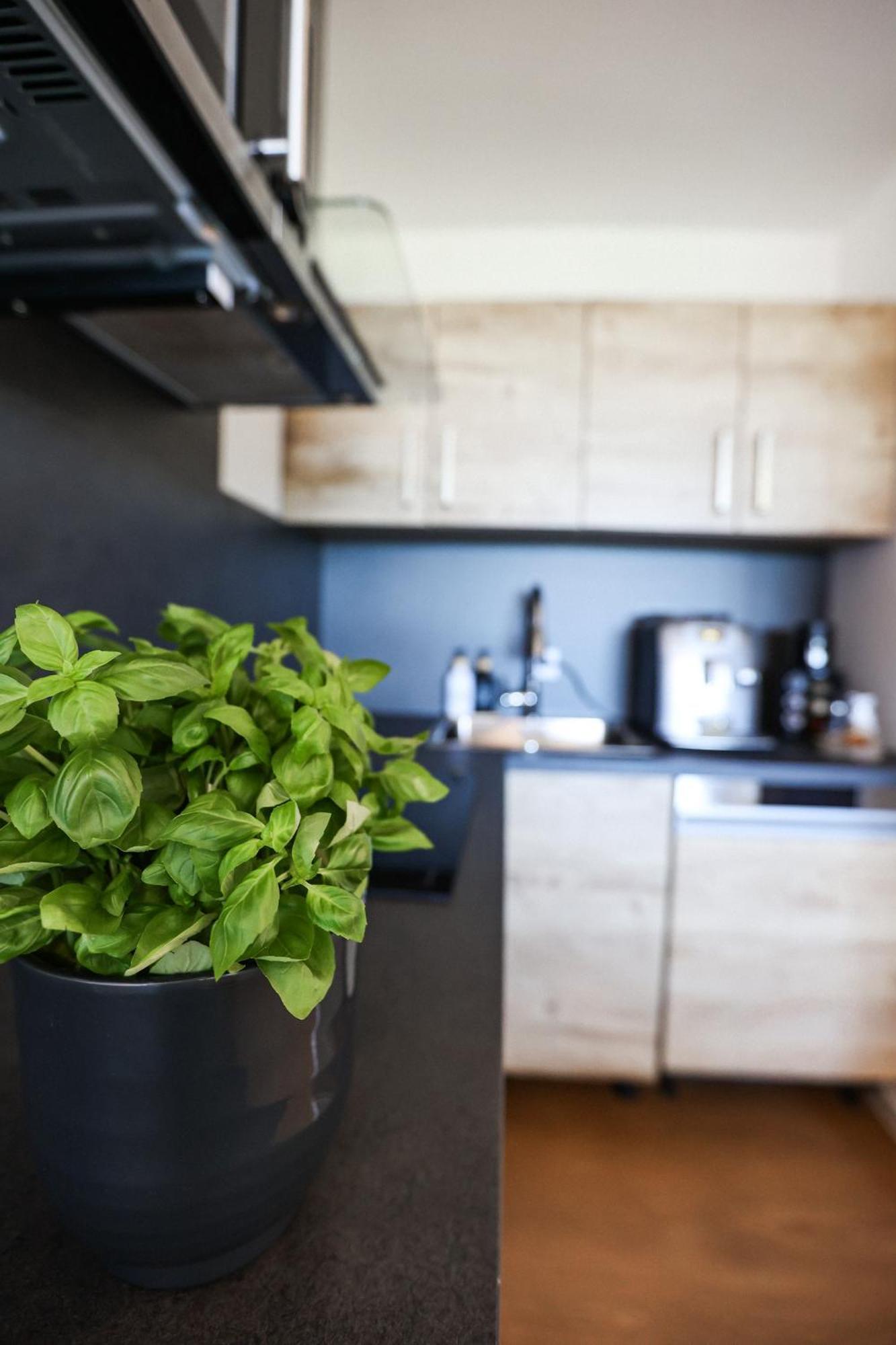 Neu Superior 312, Oberharz, Schwimmbad Und Sauna Appartement Braunlage