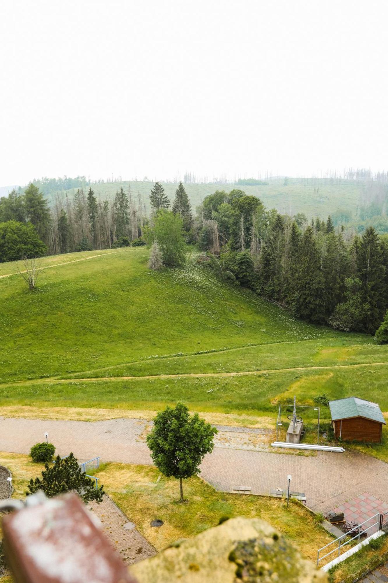 Neu Superior 312, Oberharz, Schwimmbad Und Sauna Appartement *
