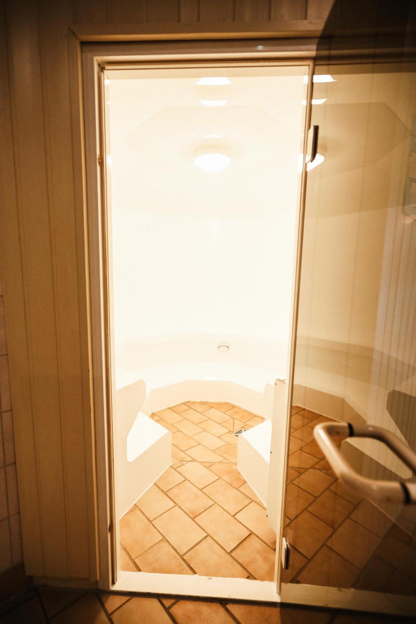 Neu Superior 312, Oberharz, Schwimmbad Und Sauna