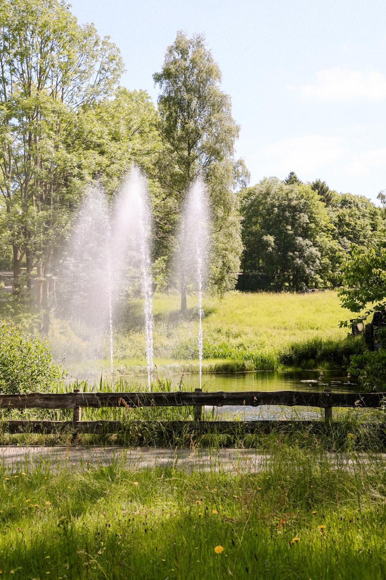 Neu Superior 312, Oberharz, Schwimmbad Und Sauna Appartement *